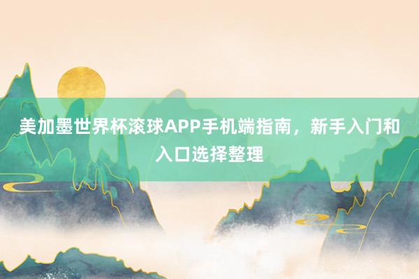 美加墨世界杯滚球APP手机端指南，新手入门和入口选择整理